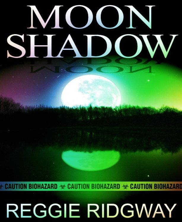 Produktbild: Moon Shadow