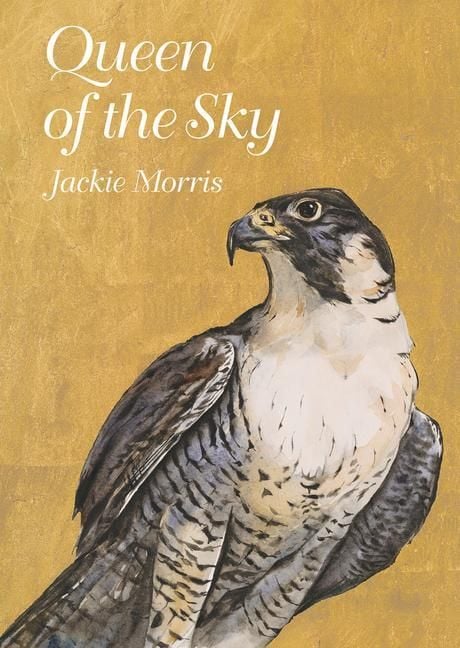 Produktbild: Queen of the Sky