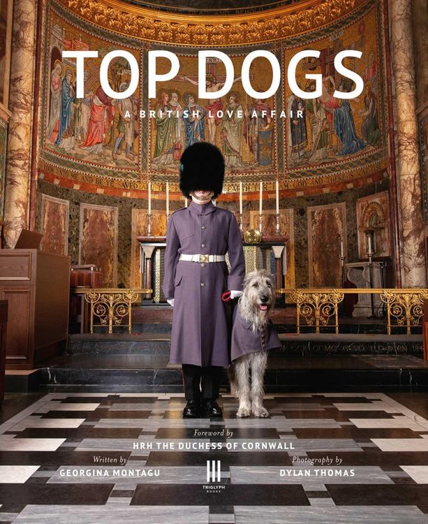 Produktbild: Top Dogs