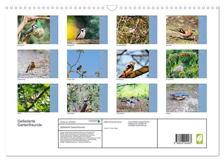 Produktbild: Gefiederte Gartenfreunde (Wandkalender 2026 DIN A3 quer), CALVENDO Monatskalender