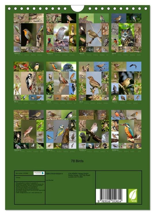 Produktbild: 78 Birds (Wall Calendar 2026 DIN A4 portrait), CALVENDO 12 Month Wall Calendar