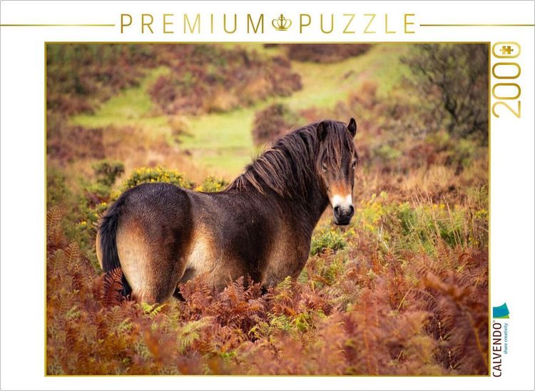 Produktbild: CALVENDO Puzzle Pony im Farbenrausch | 2000 Teile Lege-Gr&ouml;&szlig;e 90x67cm Foto-Puzzle f&uuml;r gl&uuml;ckliche Stunden
