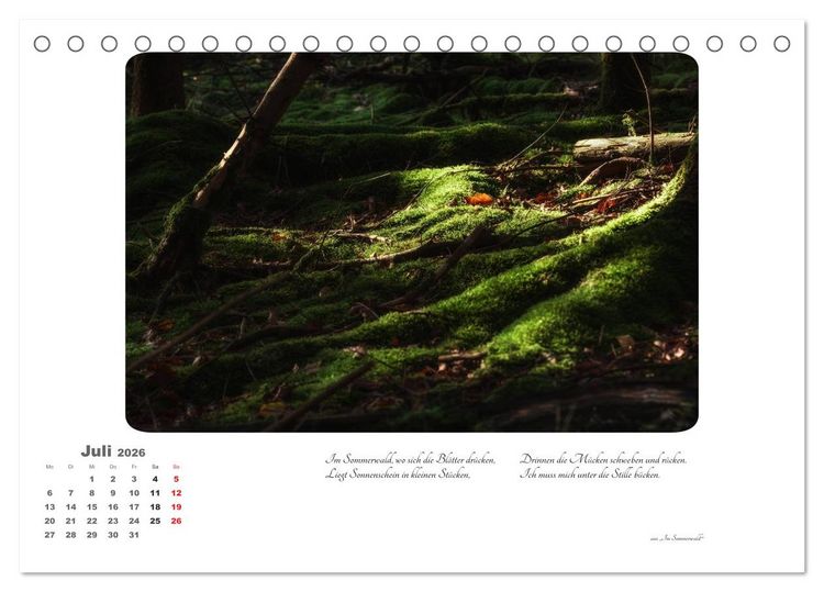 Produktbild: Max Dauthendey - Mit dem Wald durchs Jahr (Tischkalender 2026 DIN A5 quer), CALVENDO Monatskalender