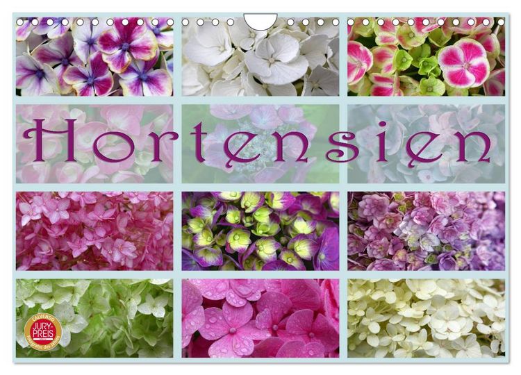 Produktbild: Hortensien / Geburtstagskalender (Wandkalender 2026 DIN A4 quer), CALVENDO Monatskalender