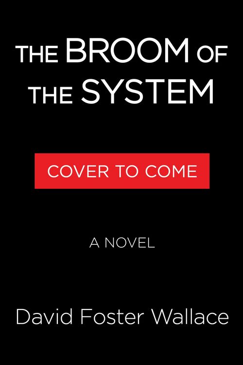 Produktbild: The Broom of the System