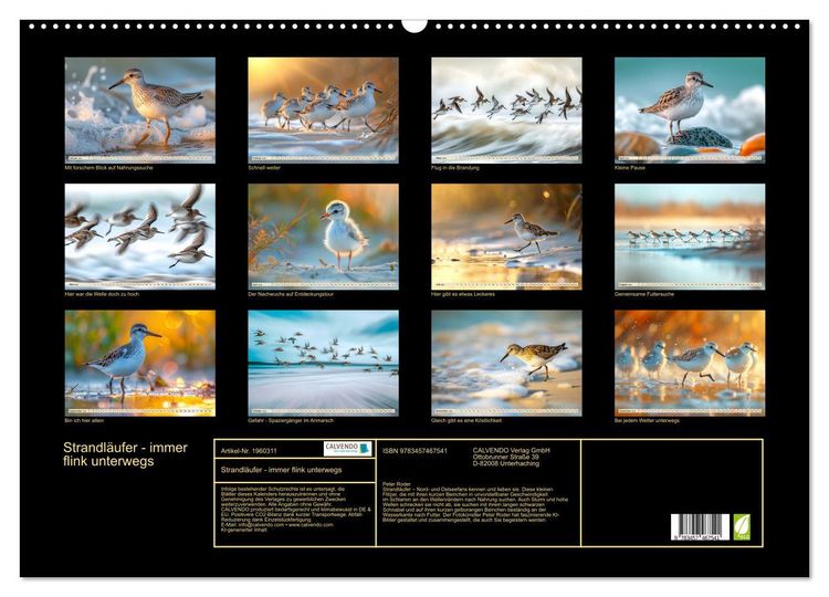 Produktbild: Strandl&auml;ufer - immer flink unterwegs (Wandkalender 2026 DIN A2 quer), CALVENDO Monatskalender