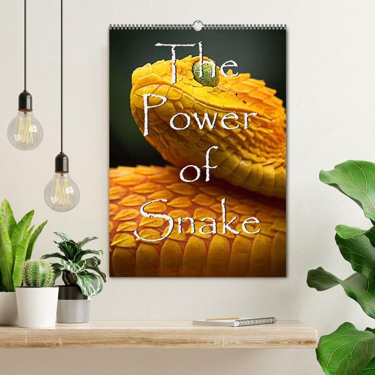 Produktbild: The Power Of Snake (Wandkalender 2027 DIN A2 hoch), CALVENDO Monatskalender