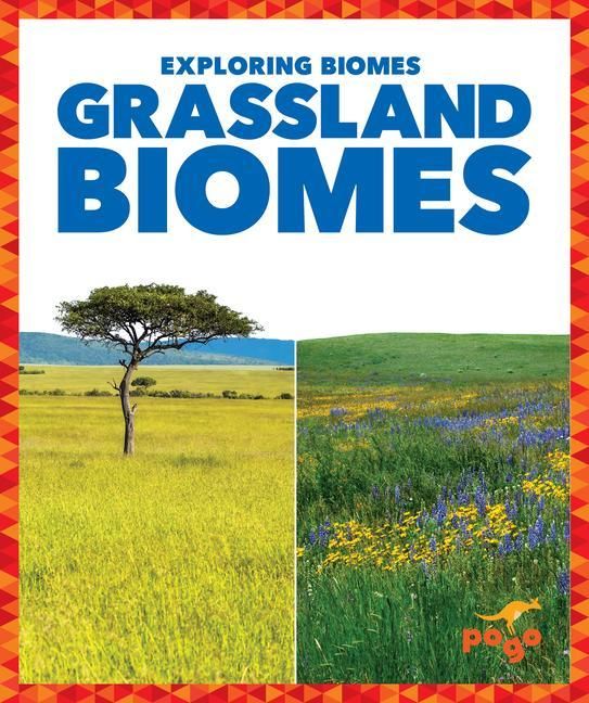 Produktbild: Grassland Biomes