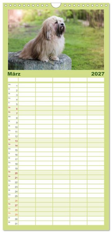 Produktbild: Familienplaner 2027 - Havaneser - Wirbelwinde aus Kuba mit 5 Spalten (Wandkalender, 21 x 45 cm) CALVENDO