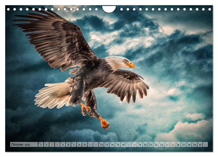Produktbild: Faszinierende Greifv&ouml;gel hautnah (Wandkalender 2026 DIN A4 quer), CALVENDO Monatskalender