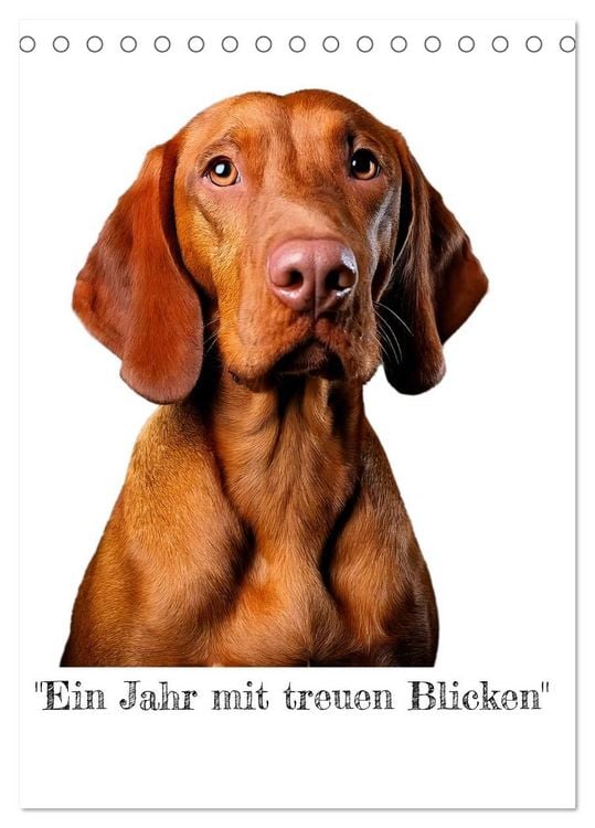 Produktbild: &bdquo;Ein Jahr mit treuen Blicken&ldquo; (Tischkalender 2027 DIN A5 hoch), CALVENDO Monatskalender