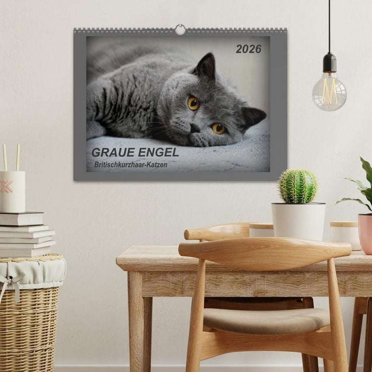 Produktbild: GRAUE ENGEL Britischkurzhaar-Katzen (Wandkalender 2026 DIN A3 quer), CALVENDO Monatskalender