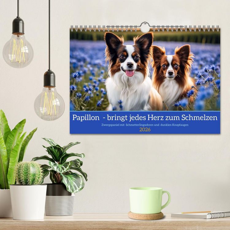 Produktbild: Papillon - bringt jedes Herz zum Schmelzen (Wandkalender 2026 DIN A4 quer), CALVENDO Monatskalender