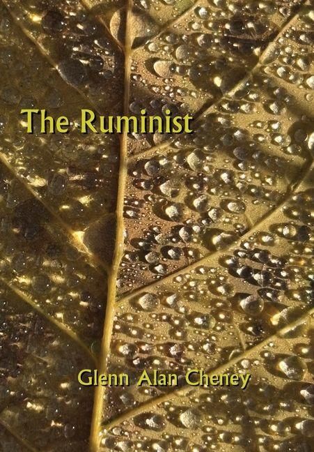 Produktbild: The Ruminist