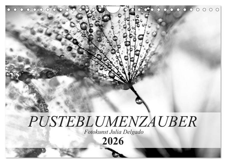 Produktbild: Pusteblumenzauber in schwarzwei&szlig; (Wandkalender 2026 DIN A4 quer), CALVENDO Monatskalender