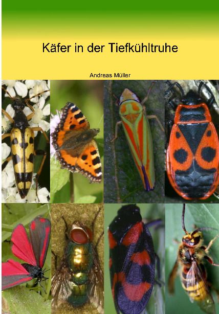 Produktbild: K&auml;fer in der Tiefk&uuml;hltruhe