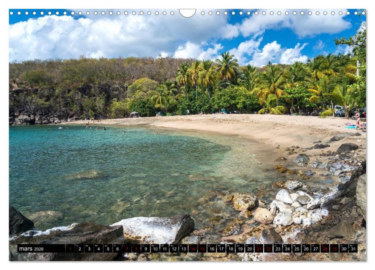 Produktbild: Guadeloupe (Calendrier mural 2026 DIN A3 vertical), CALVENDO calendrier mensuel