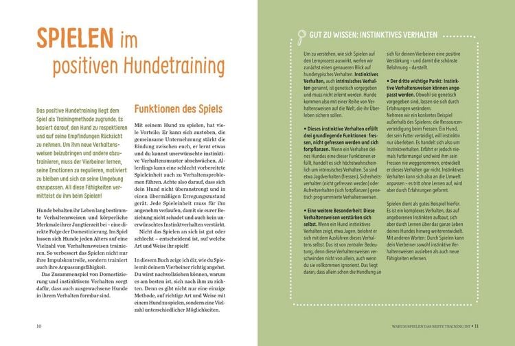 Produktbild: Spielerische Hundeerziehung