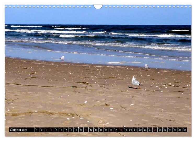Produktbild: USEDOM - Seeb&auml;der und Naturparadies (Wandkalender 2026 DIN A3 quer), CALVENDO Monatskalender