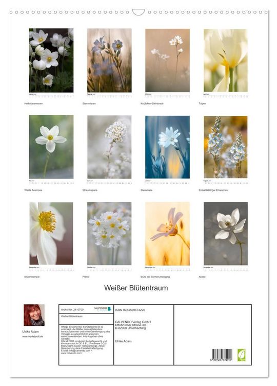 Produktbild: Wei&szlig;er Bl&uuml;tentraum (Wandkalender 2027 DIN A2 hoch), CALVENDO Monatskalender