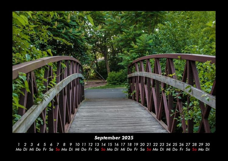Produktbild: Waldzauber 2025 Fotokalender DIN A3