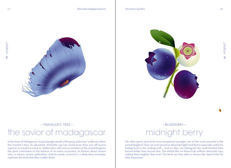 Produktbild: Seeds