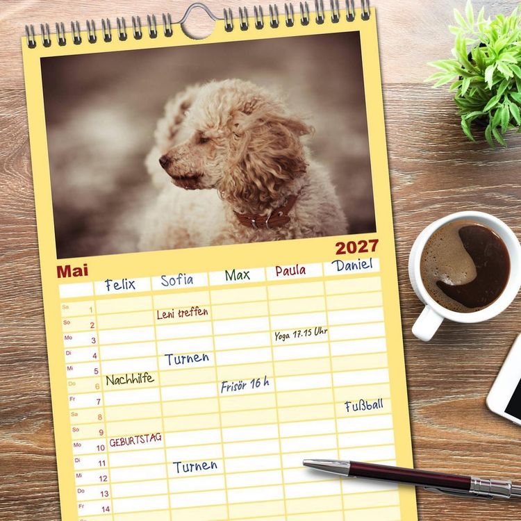 Produktbild: Familienplaner 2027 - Lockenw&ouml;lfe - Energieb&uuml;ndel Pudel mit 5 Spalten (Wandkalender, 21 x 45 cm) CALVENDO
