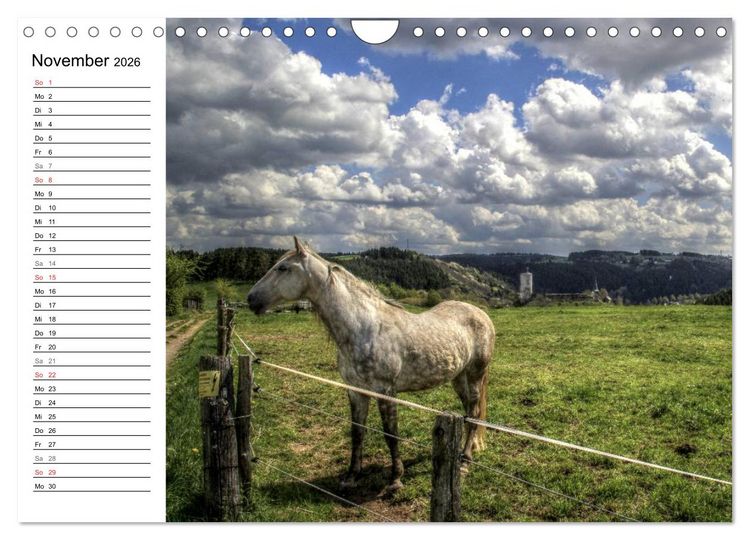 Produktbild: Faszination Eifel (Wandkalender 2026 DIN A4 quer), CALVENDO Monatskalender