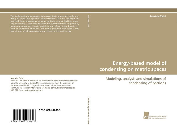 Produktbild: Energy-based model of condensing on metric spaces
