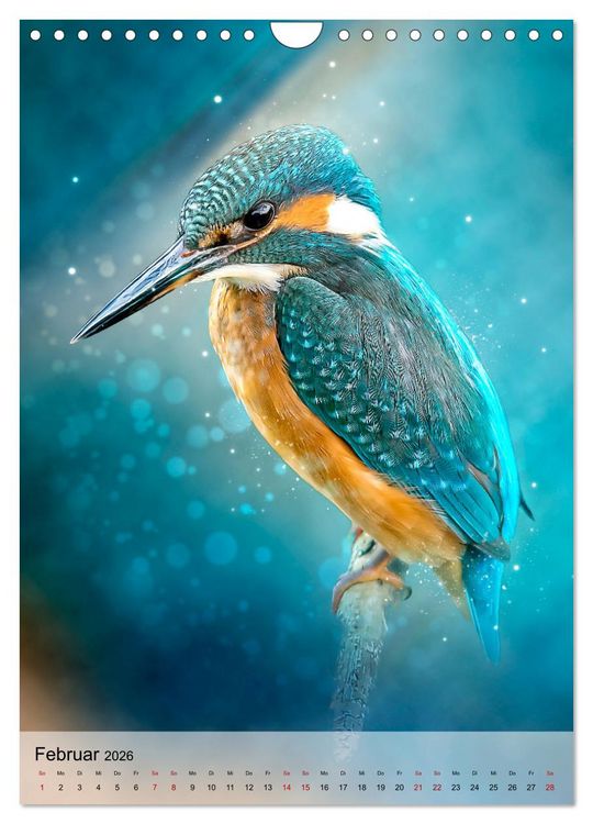 Produktbild: Schillernder Eisvogel (Wandkalender 2026 DIN A4 hoch), CALVENDO Monatskalender