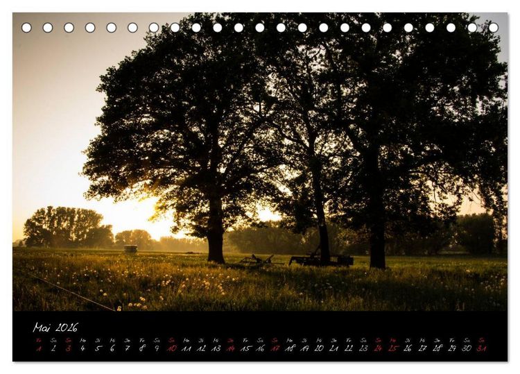 Produktbild: Wald (Tischkalender 2026 DIN A5 quer), CALVENDO Monatskalender