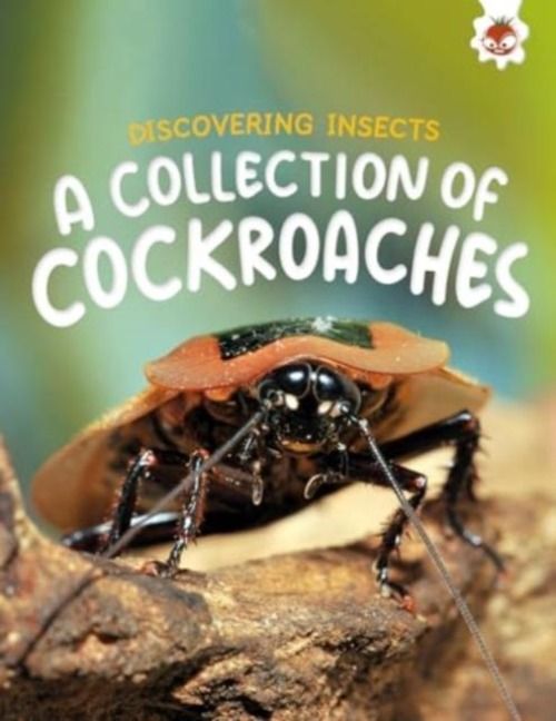 Produktbild: Discovering Insects: A Collection of Cockroaches