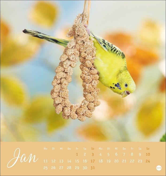 Produktbild: Freche Wellensittiche Postkartenkalender 2027