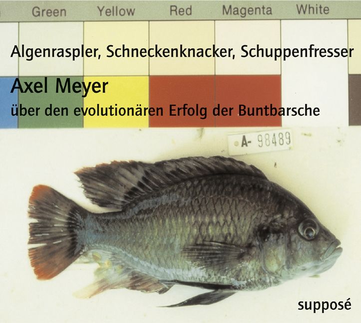 Produktbild: Algenraspler, Schneckenknacker, Schuppenfresser