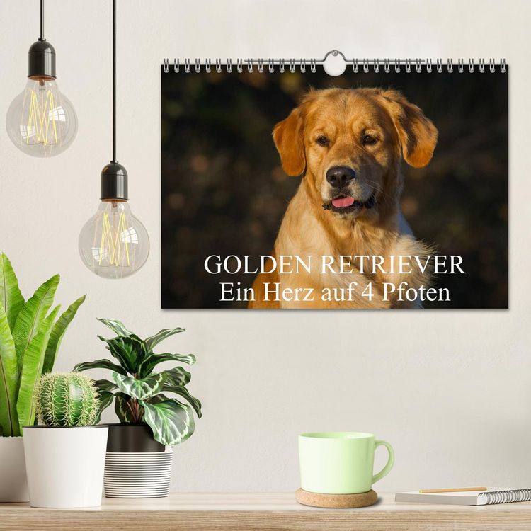 Produktbild: Golden Retriever - Ein Herz auf 4 Pfoten (Wandkalender 2026 DIN A4 quer), CALVENDO Monatskalender