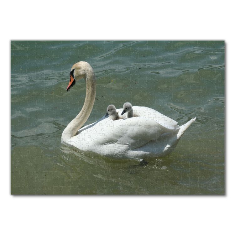 Produktbild: Lais Puzzle Schwan mit Babys 500 Teile