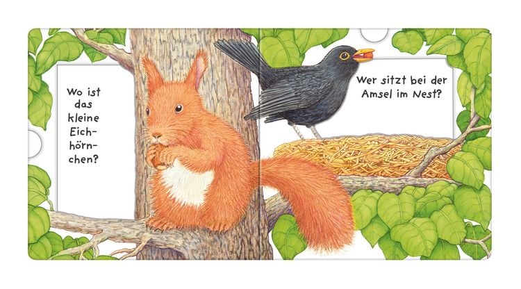 Produktbild: Tierkinder, wo seid ihr?