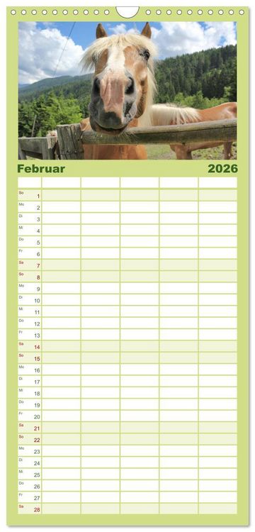 Produktbild: Familienplaner 2026 - Alpenpferde mit 5 Spalten (Wandkalender, 21 x 45 cm) CALVENDO