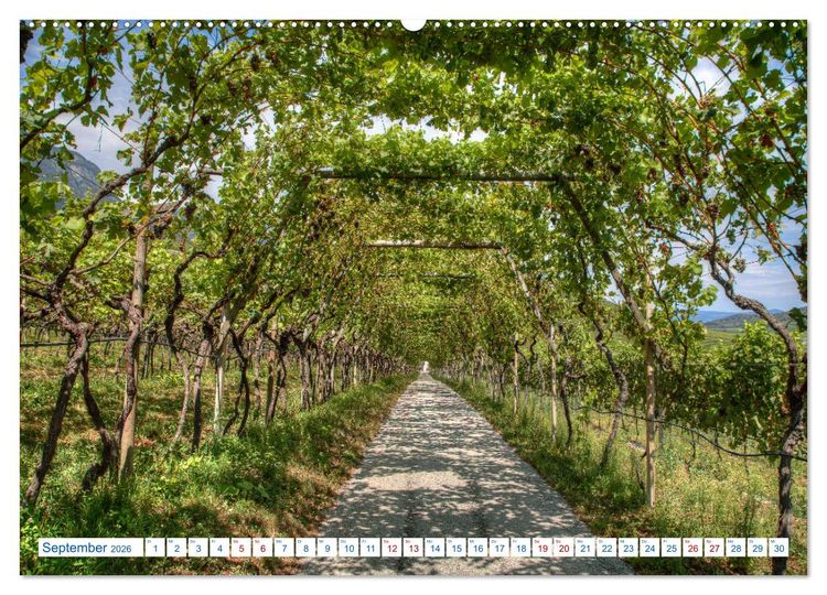 Produktbild: S&uuml;dtiroler Impressionen (Wandkalender 2026 DIN A2 quer), CALVENDO Monatskalender
