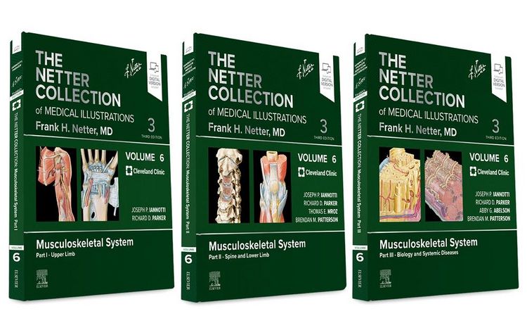 Produktbild: The Netter Collection of Medical Illustrations: Musculoskele