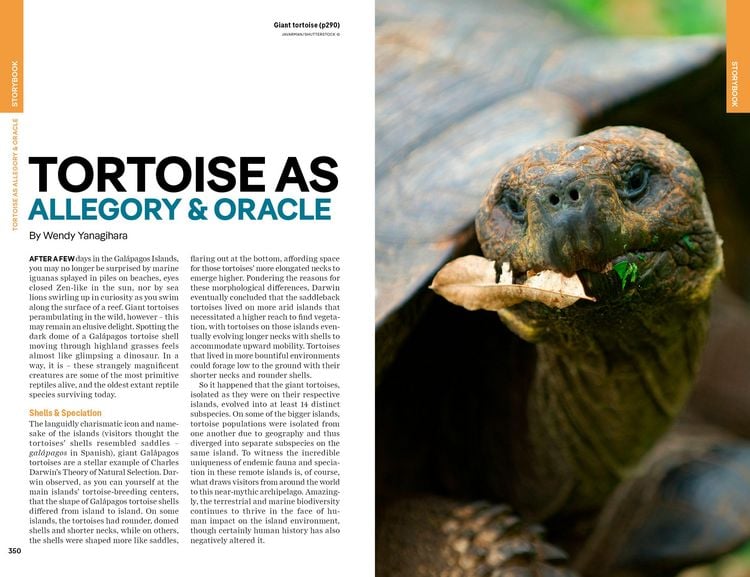 Produktbild: Lonely Planet Ecuador & the Galapagos Islands
