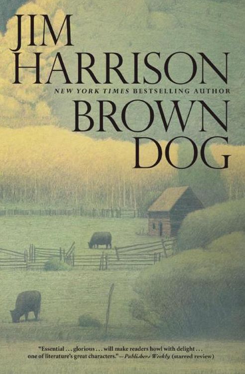 Produktbild: Brown Dog