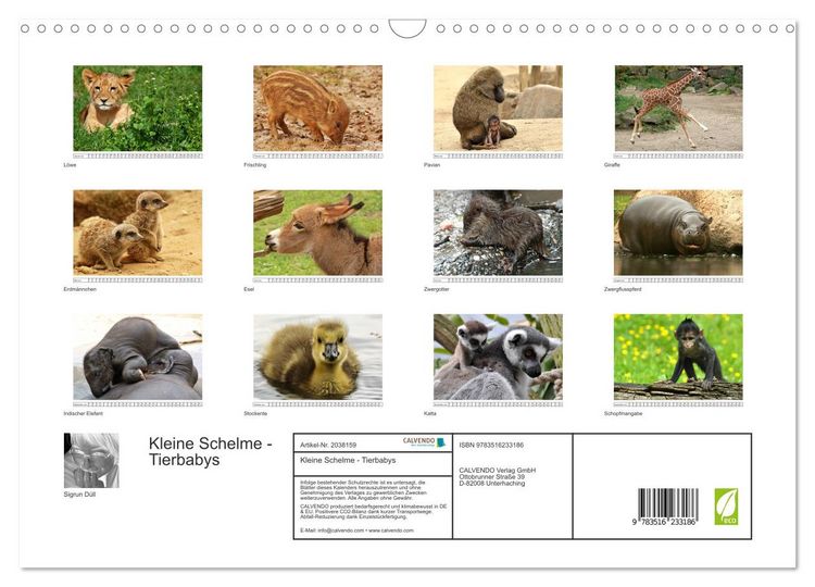 Produktbild: Kleine Schelme - Tierbabys (Wandkalender 2026 DIN A3 quer), CALVENDO Monatskalender