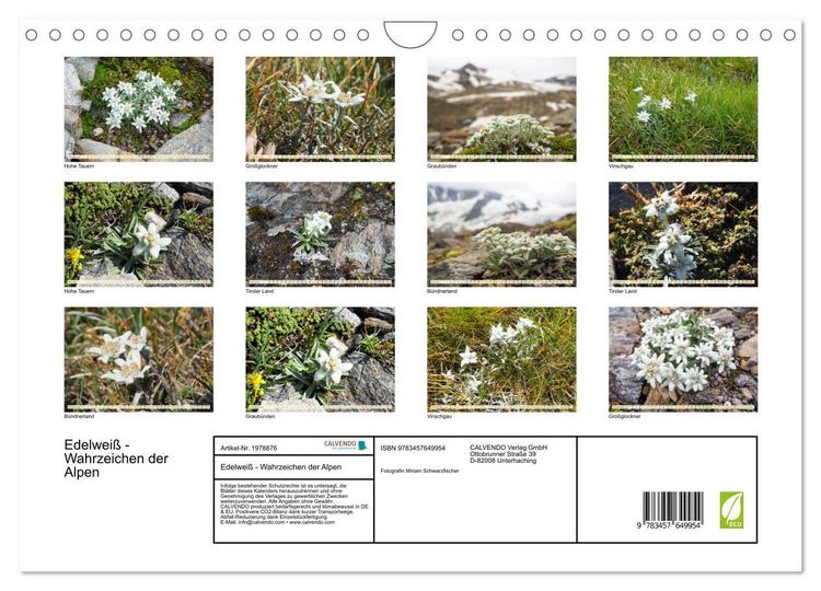 Produktbild: Edelwei&szlig; - Wahrzeichen der Alpen (Wandkalender 2026 DIN A4 quer), CALVENDO Monatskalender