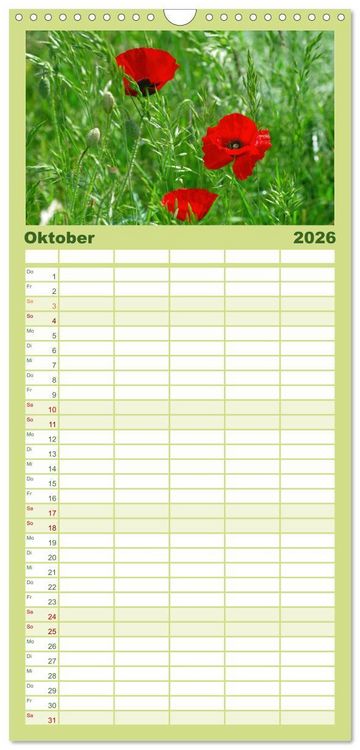 Produktbild: Familienplaner 2026 - Mohnblumen Tr&auml;ume mit 5 Spalten (Wandkalender, 21 x 45 cm) CALVENDO