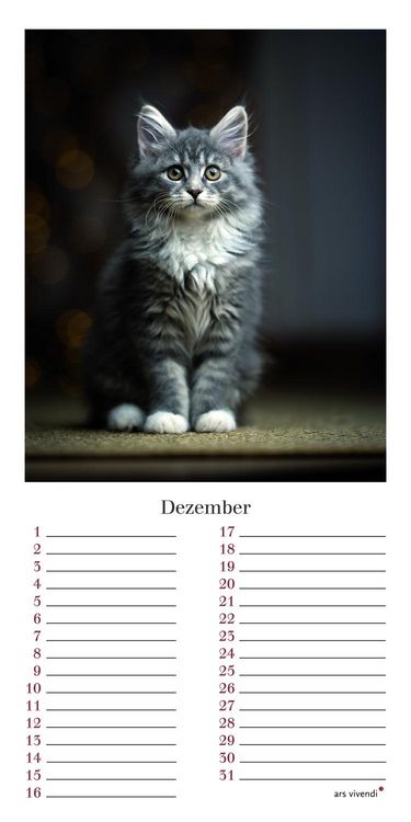 Produktbild: Geburtstagskalender Katzen