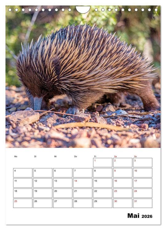 Produktbild: Australiens faszinierende Tierwelt (Wandkalender 2026 DIN A4 hoch), CALVENDO Monatskalender