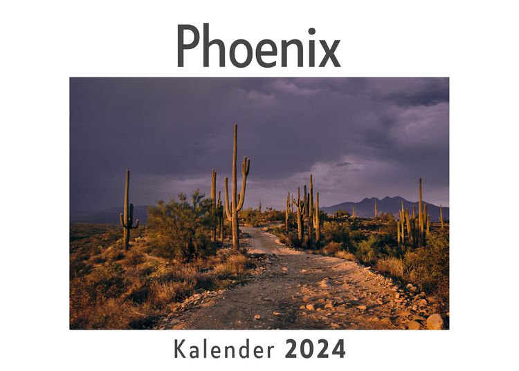 Produktbild: Phoenix (Wandkalender 2024, Kalender DIN A4 quer, Monatskalender im Querformat mit Kalendarium, Das perfekte Geschenk)