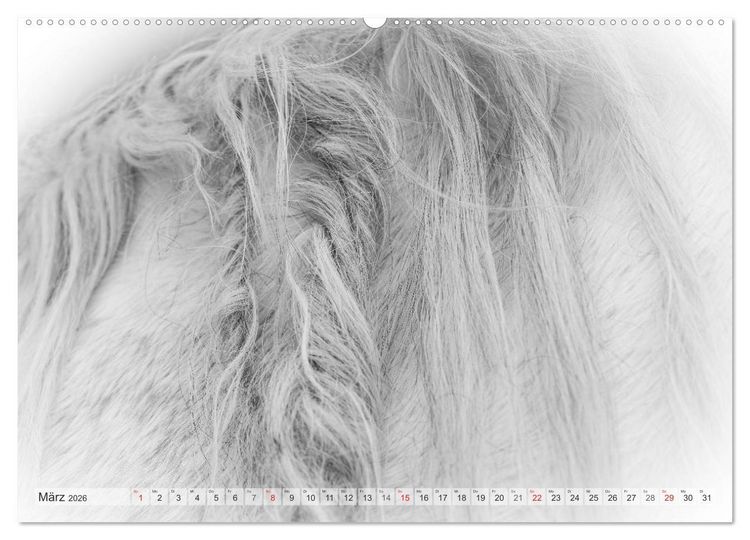 Produktbild: Emotionale Momente: Wei&szlig;e Pferde in schwarzwei&szlig;. (Wandkalender 2026 DIN A2 quer), CALVENDO Monatskalender