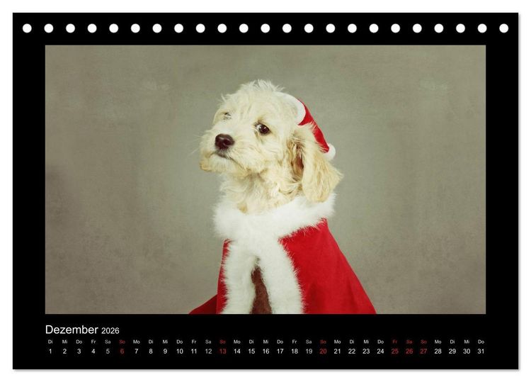 Produktbild: Allerlei Hundekinder (Tischkalender 2026 DIN A5 quer), CALVENDO Monatskalender